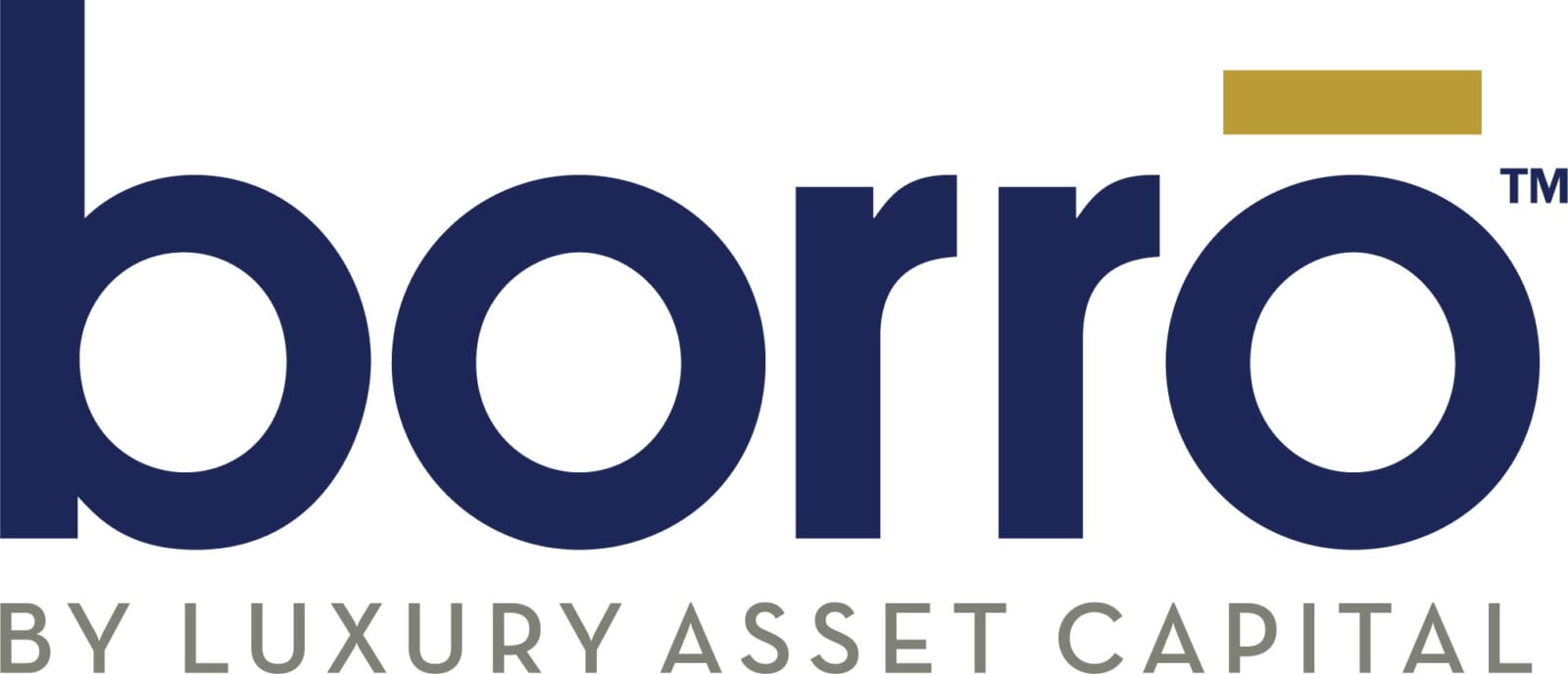 logo for Borro