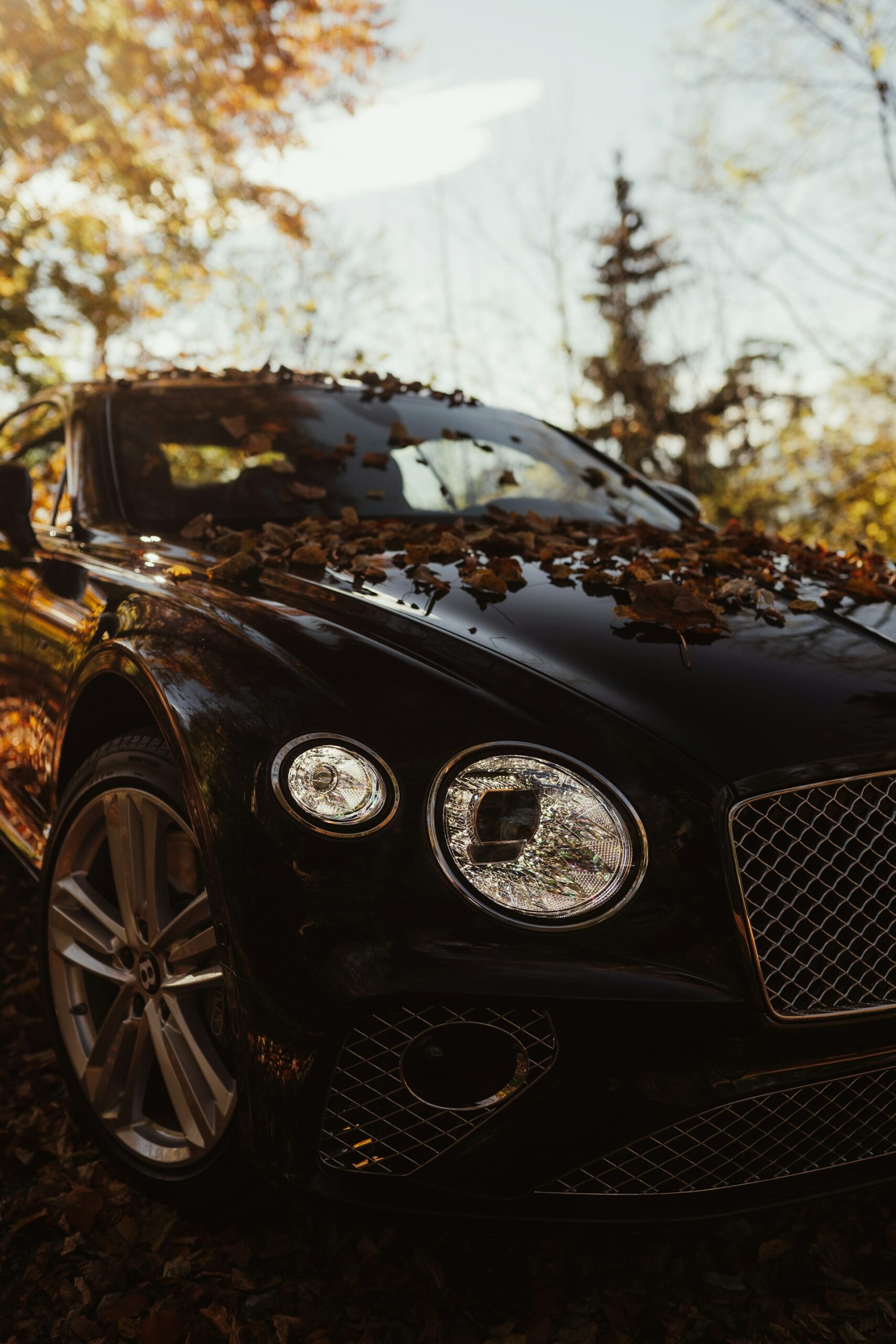 Effortless Power and Style: Discovering the Thrilling Performance of the Bentley Continental GT