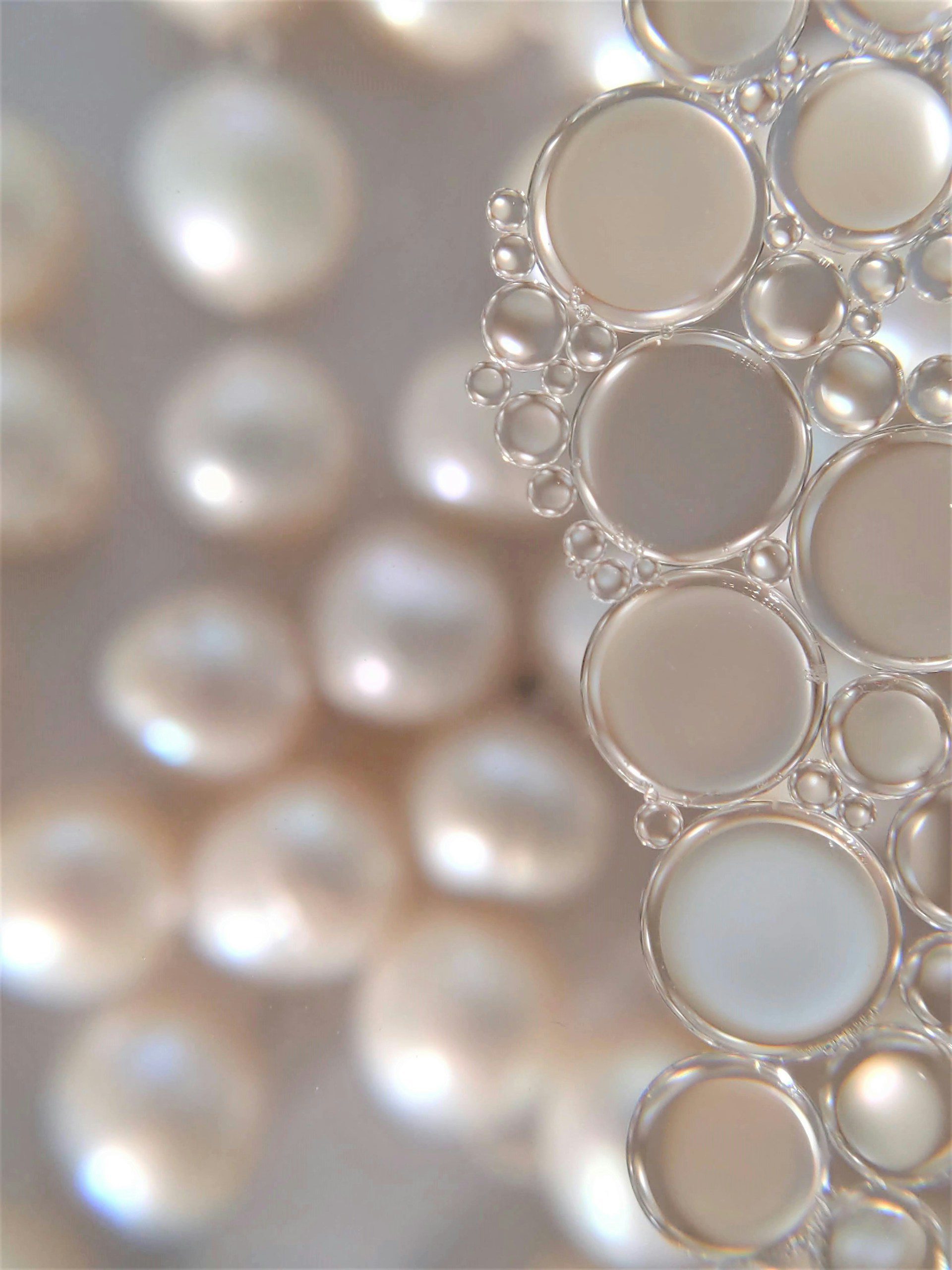 Ranking the Top 5 Most Stunning Mikimoto Pearl Necklaces